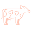 ico11
