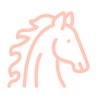 ico33